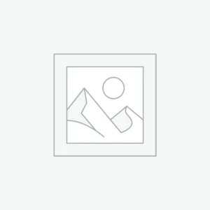 Fourmilière en plâtre